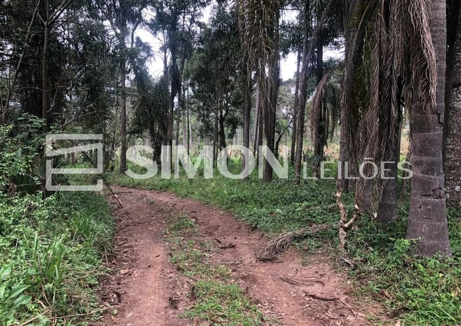 Imagem do imóvel Uma área de 48.400m², (quarenta e oito mil e quatrocentos metros quadrados), situado na Linha Rio Preto em Prudentópolis/PR, dentro de uma área total de 121.000,00 m² (cento e vinte e um mil metros qu