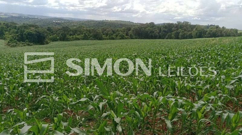Imagem do imóvel Lote Rural nº. 60-A (sessenta-A) da Gleba nº. 46-FB (quarenta e seis-FB), do núcleo de Francisco Beltrão, da Colônia Missões, na Comunidade Rio Varanda, s/nº, Zona Rural do Município de Nova Esperança