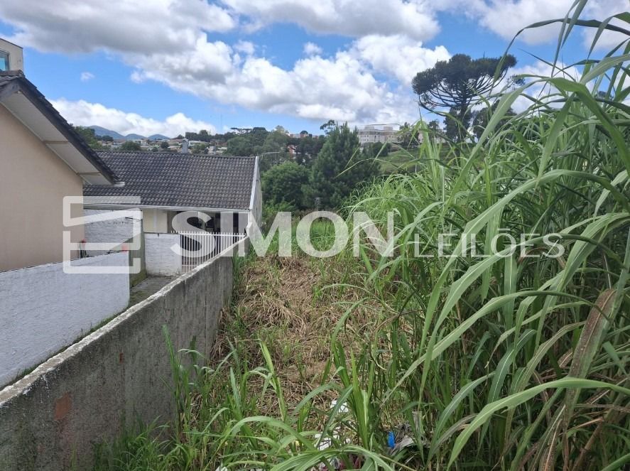 Terreno com a área de 1.200,00m², JARDIM PINHEIROS (conforme a AV-09/11.926) Município de Quatro Barras/PR, medindo 20,00m de frente para Rua Pedro Cambio Cortiano (antiga estrada), e 60 de extensão a, localizado em Quatro Barras - PR, bairro Jardim Pinheiros