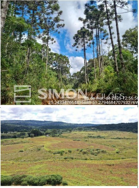 Imagem do imóvel Fração correspondente a 70.000m² do Terreno de faxinais, constituído de parte da Gleba nº 20, situado no imóvel denominado “Campo de Dentro”, no Distrito de Guará, com área total de 3.692.154,00m², co