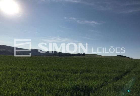 Gleba (foto 4 de 4)
