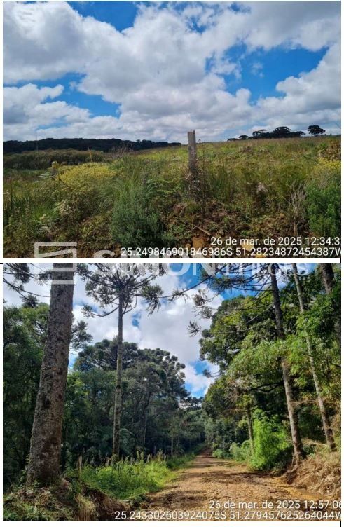 Gleba no Guará (foto 5 de 5)