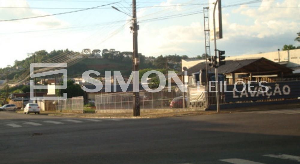 Terreno (foto 5 de 5)