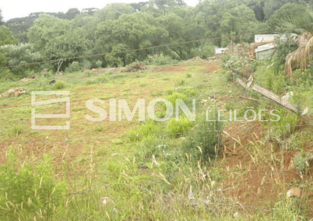 Terreno no Lagoão (foto 6 de 6)